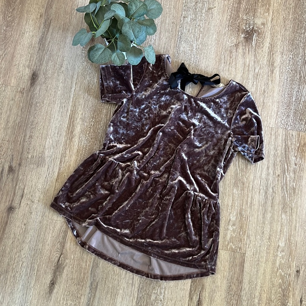 Pleione Velvet Top Size Small